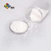 raw material transparent Na2SO4 plastic filler pellets for PP PE  injection molding